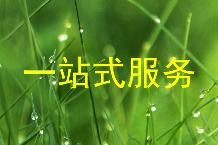 一站式服务