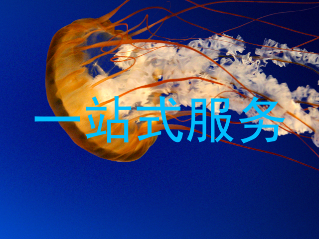 一站式服务