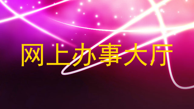 网上办事大厅