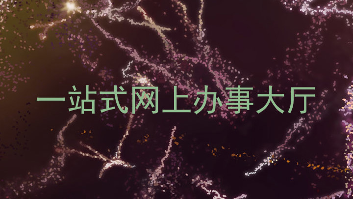 一站式网上办事大厅