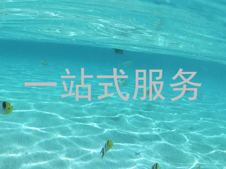 一站式服务