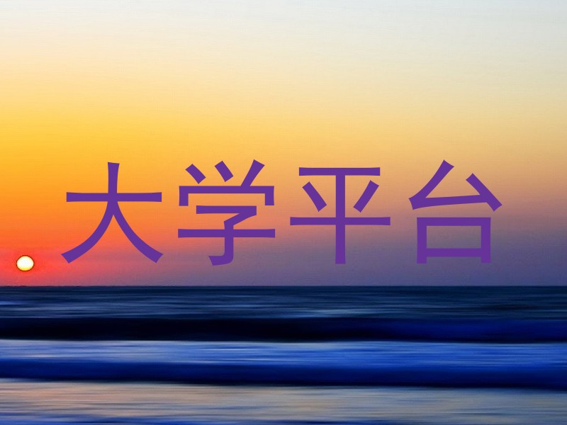 大学平台