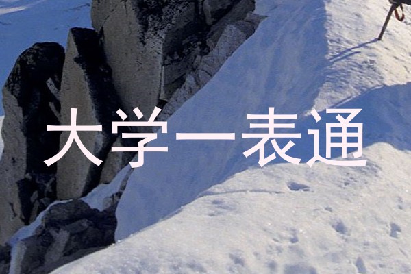 大学一表通
