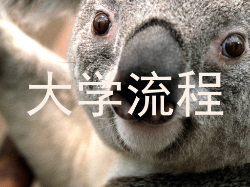 大学流程