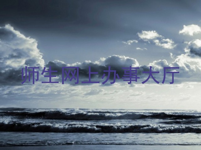 师生网上办事大厅