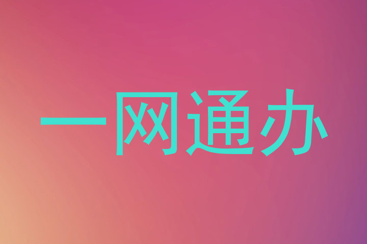 一网通办