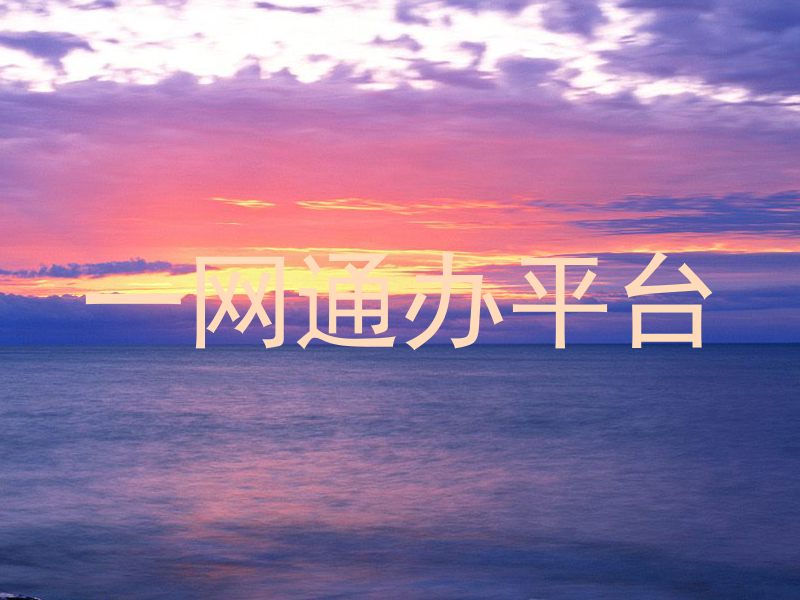 一网通办平台