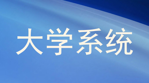 大学系统