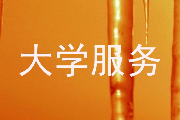 大学服务