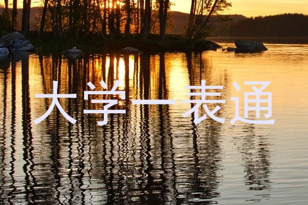 大学一表通