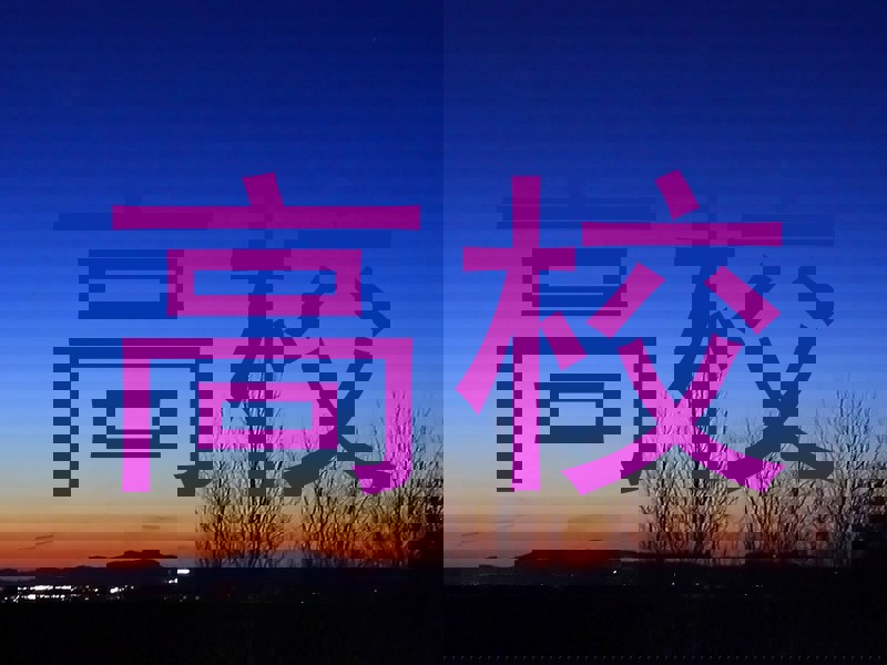 高校