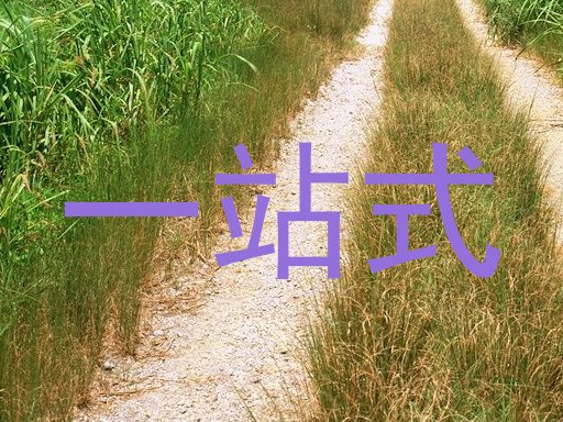 一站式