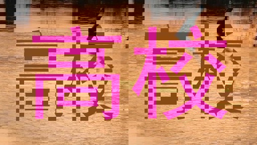 高校