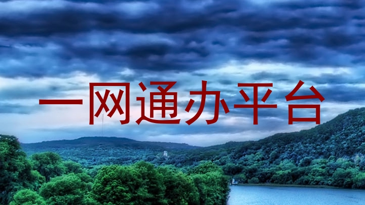 一网通办平台