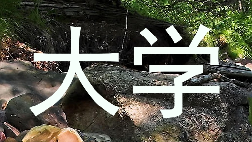 大学