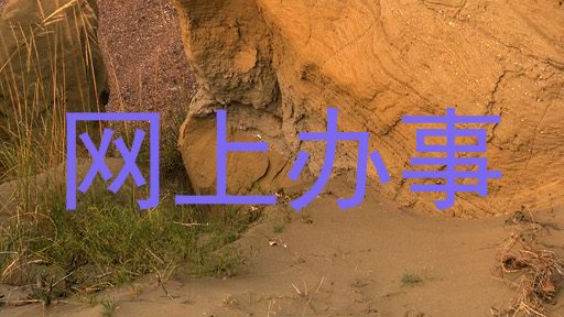 网上办事