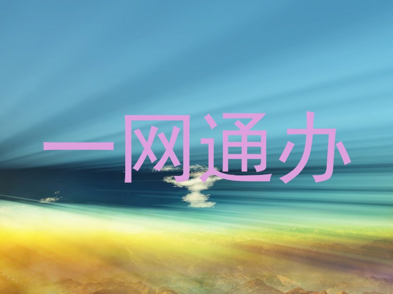 一网通办