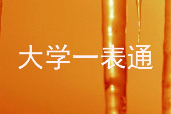 大学一表通