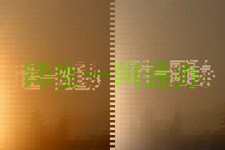 师生一网通办