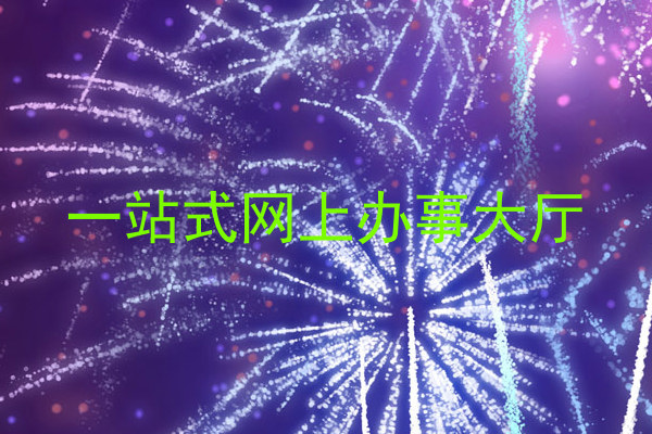 一站式网上办事大厅