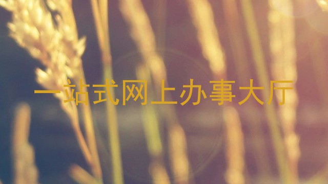 一站式网上办事大厅