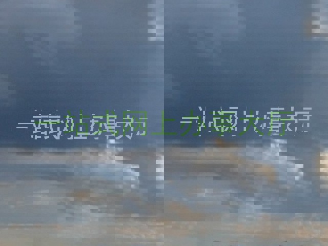 一站式网上办事大厅