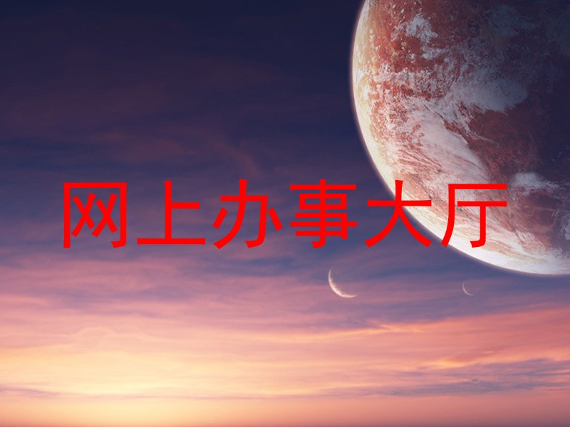 网上办事大厅
