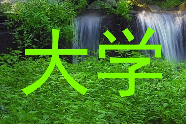 大学