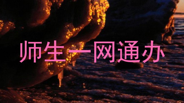 师生一网通办