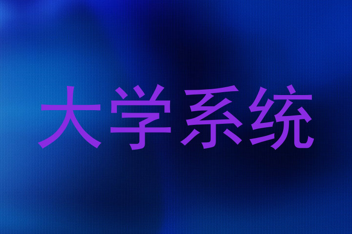 大学系统