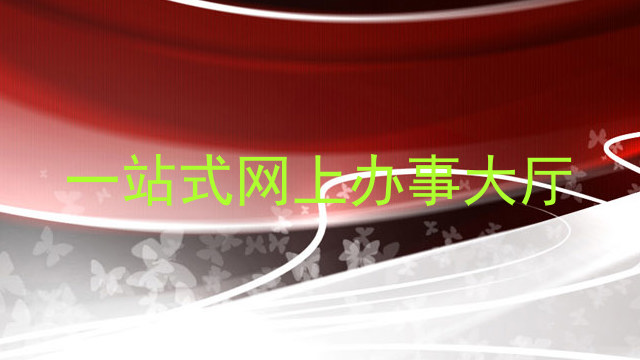 一站式网上办事大厅