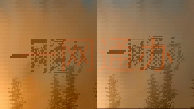 一网通办