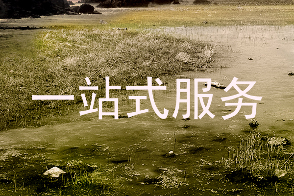 一站式服务