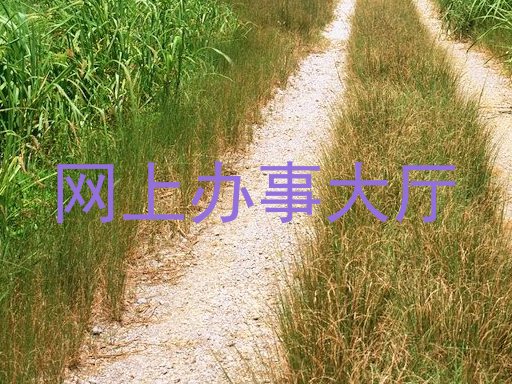 网上办事大厅