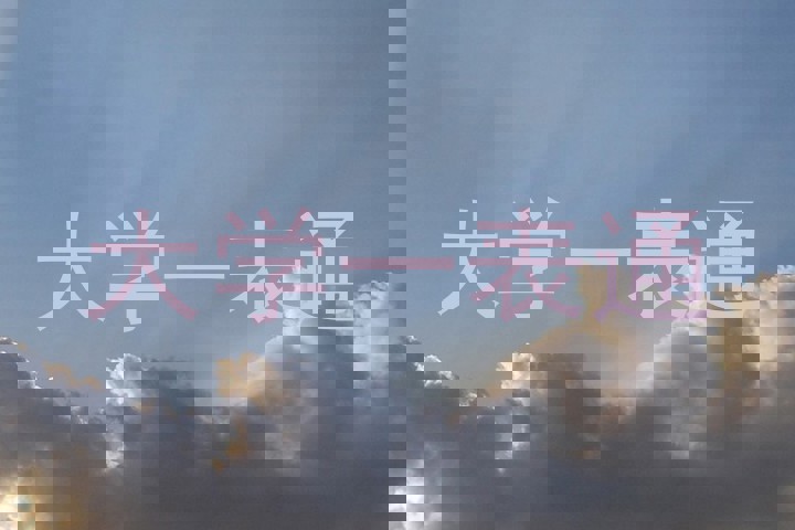 大学一表通