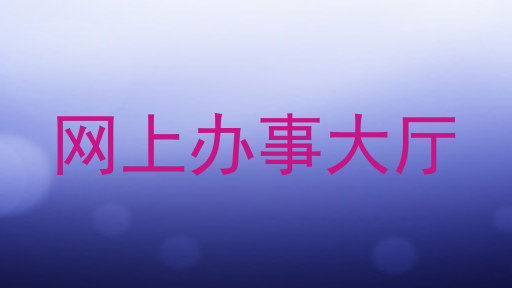 网上办事大厅