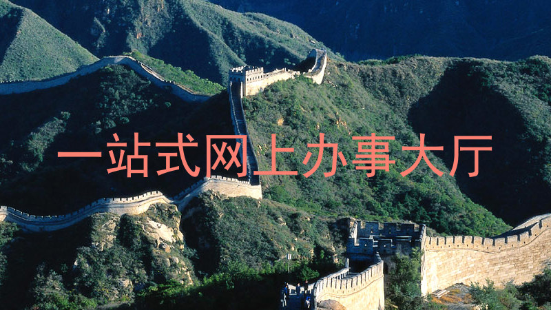 一站式网上办事大厅