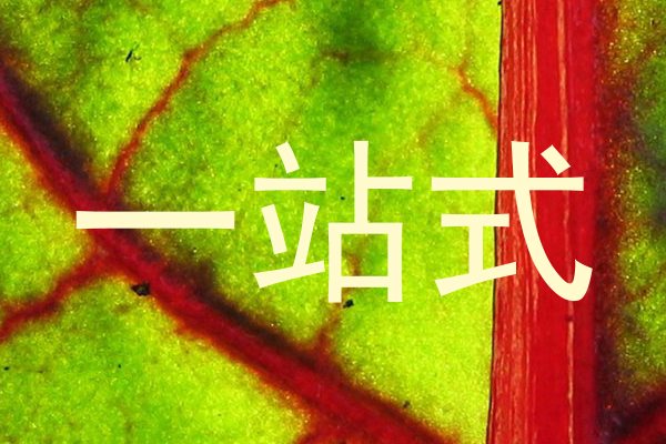 一站式