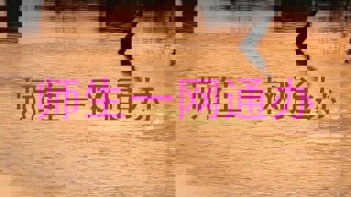 师生一网通办