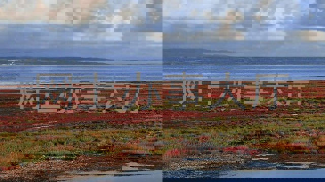 网上办事大厅