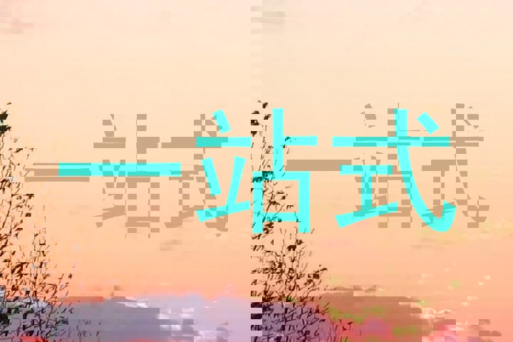 一站式