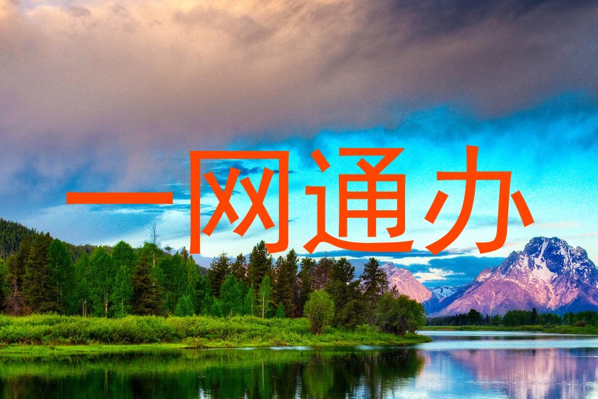 一网通办