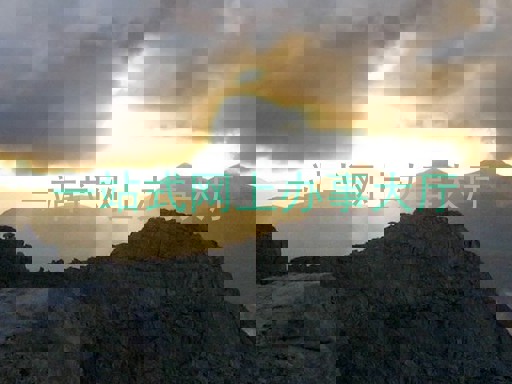 一站式网上办事大厅