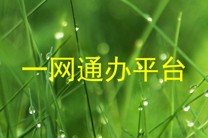 一网通办平台