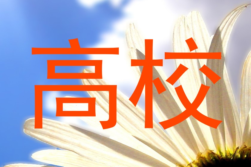 高校