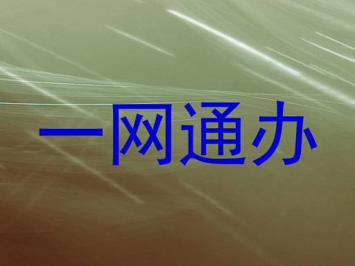 一网通办