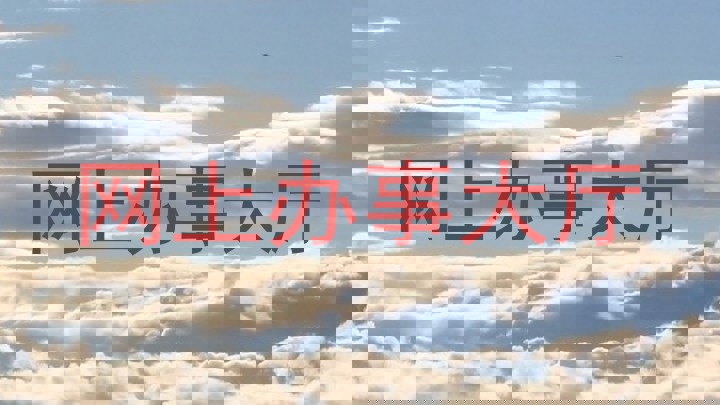 网上办事大厅