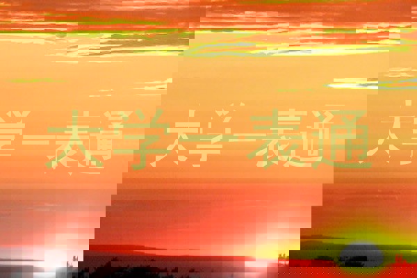 大学一表通