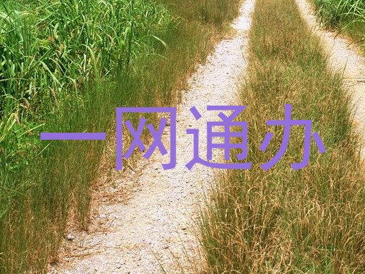 一网通办