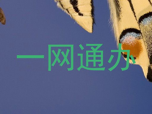 一网通办